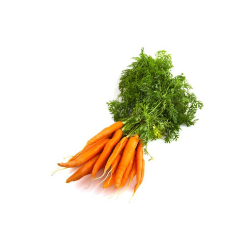 Top Carrots 1 Bunch 