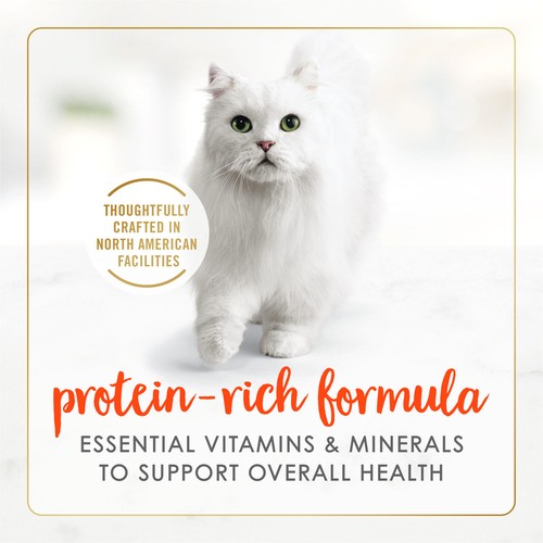 Fancy Feast Wet Cat Food Pâté Salmon Feast 85 g