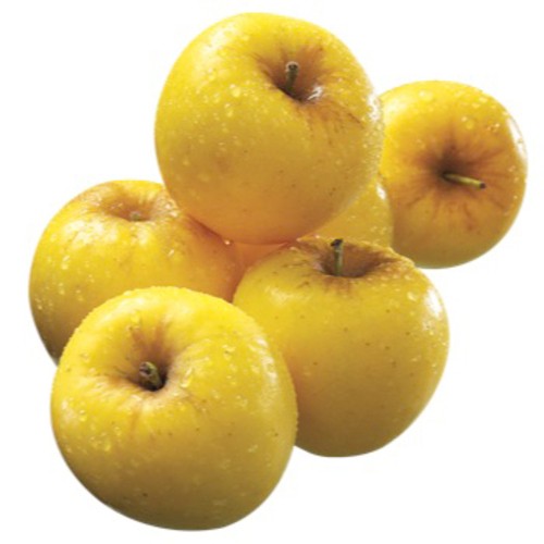 Apples First Fruit Opal Gold 3 Count