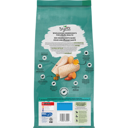 Beyond Grain-Free Dry Cat Food Wild-Caught Whitefish Free Run