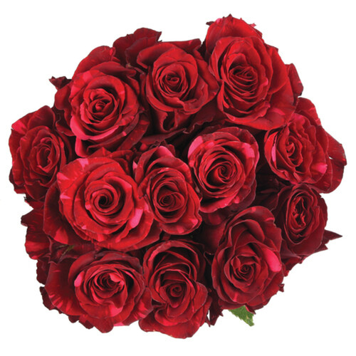 Rose Red 1 Dozen 