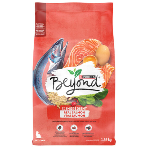 Beyond Simply Dry Cat Food Salmon & Whole Brown Rice Recipe 1.36 kg