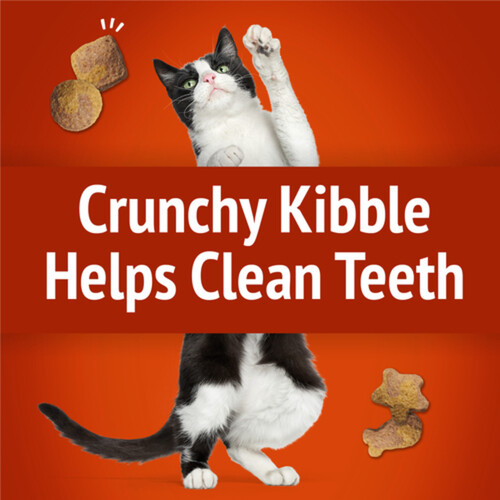 Friskies Cat Treats Party Mix Gravy-Licious Crunch Chicken And Gravy 170 g