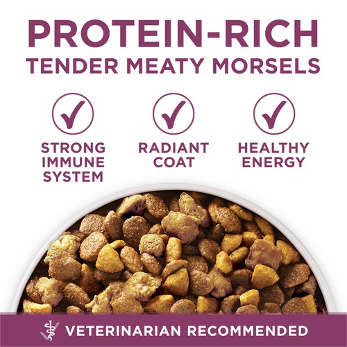 Purina ONE +Plus Dry Puppy Food Healthy Puppy Formula Lamb 6 kg
