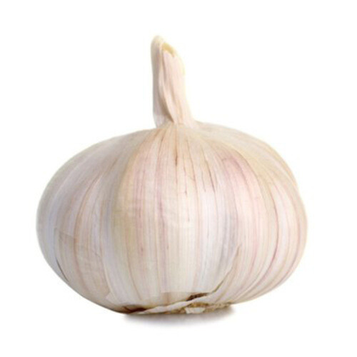 Garlic 1 Count