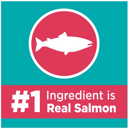IAMS Proactive Health Dry Cat Food Salmon 1.59 kg