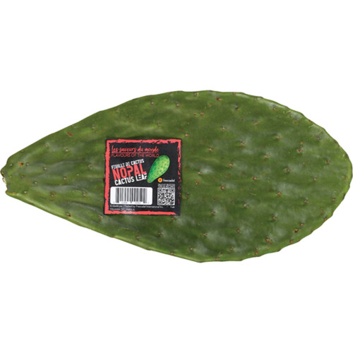 Nopal Cactus Leaves 1 Count 