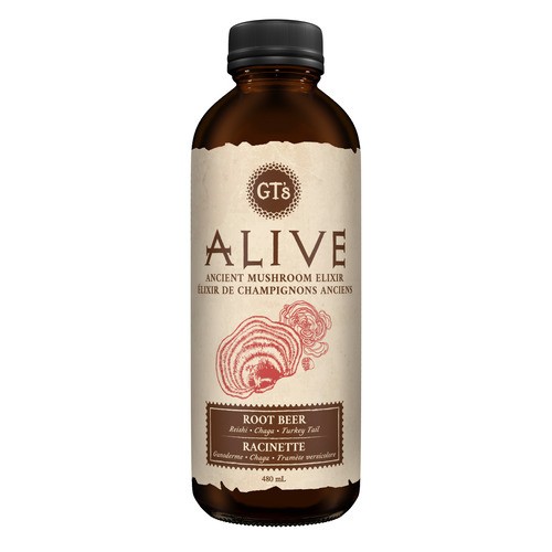 GT's Kombucha Alive Root Beer 480 ml (bottle)
