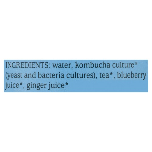GT's Kombucha Organic Ginger Berry 480 ml