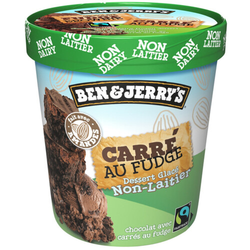 Ben & Jerry's Non-Dairy Ice Cream Chocolate Fudge Brownie 500 ml