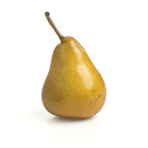 Bosc Pear Large 1 Count