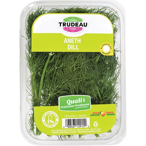 Trudeau Dill