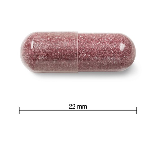 Jamieson Supplements 500 mg Cranberry Complex Capsules 100 Count