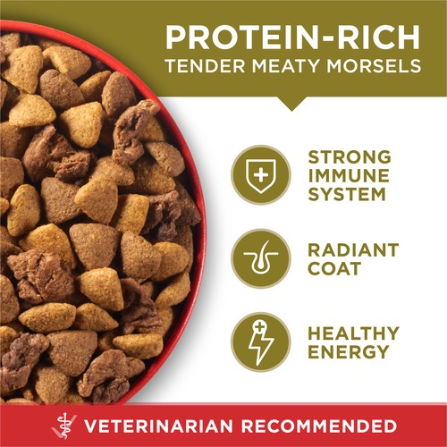 Purina ONE Microbiome Balance Dry Dog Food Lamb & Rice Formula 3.63 kg
