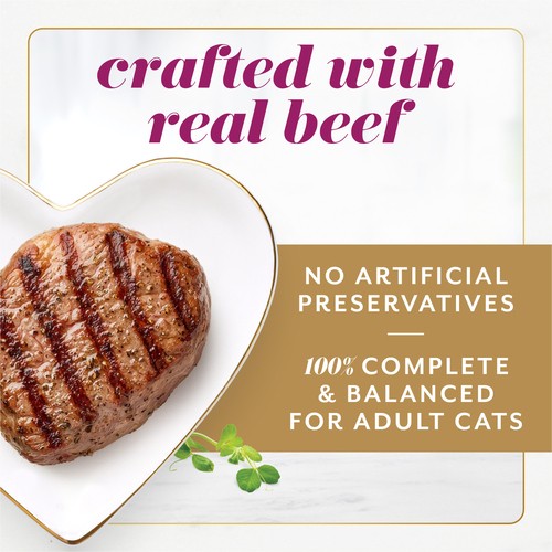 Fancy Feast Gems Wet Cat Food Mousse Paté With Beef 2 x 57 g