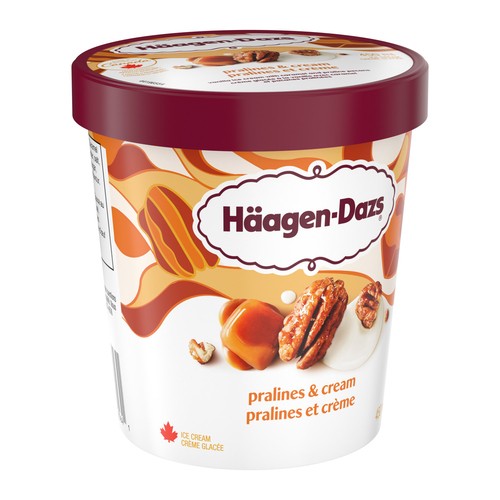 Haagen-Dazs Ice Cream Pralines & Cream 450 ml 
