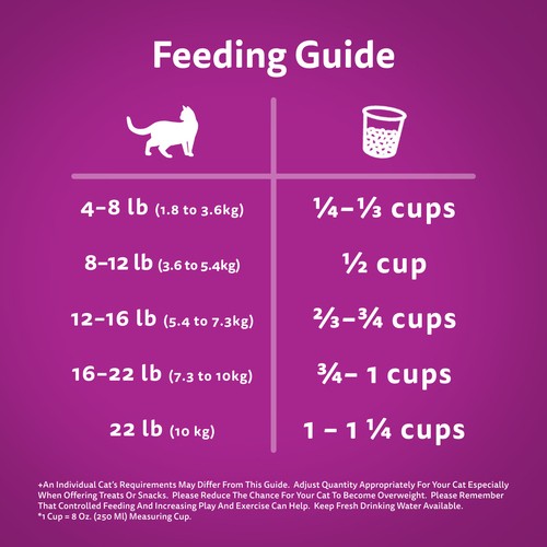 Feeding Chart What Food Can You Feed Cats Feeding Chart Do Kittens