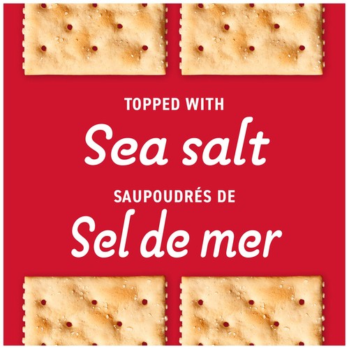 Christie Premium Plus Crackers Salted Tops 900 g