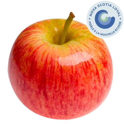 Gravenstein Apples Small 3 Count