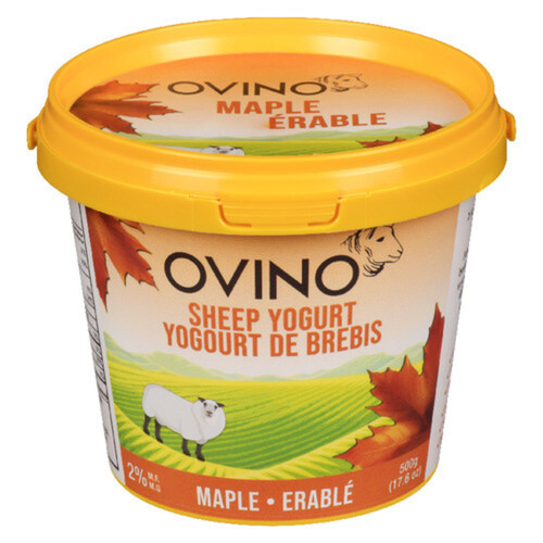 Ovino 2% Sheep Yogurt Maple 500 g