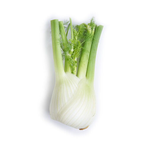 Anise (Fennel) 1 Count