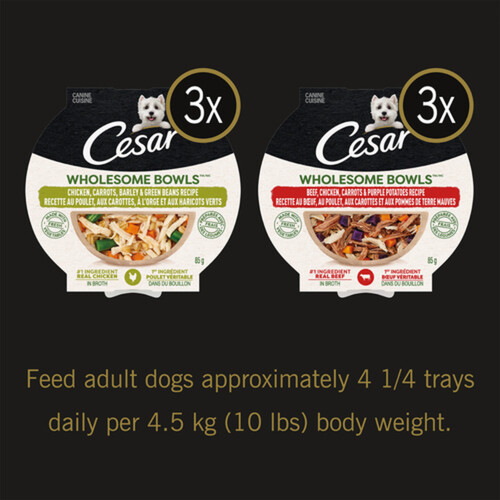 Cesar Wet Dog Food Adult Wholesome Bowls Chicken & Beef Chicken 6 x 85 g