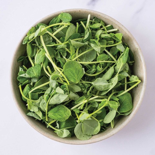 GoodLeaf Hero Greens Sweet Pea Shoots 50 g