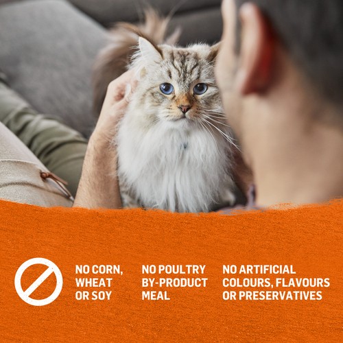Purina Beyond Wet Cat Food Chicken & Sweet Potato Recipe 85 g