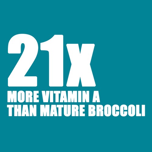 GoodLeaf Hero Greens Magic Micro Broccoli 50 g