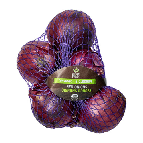 Organic Onions Red 1 Count