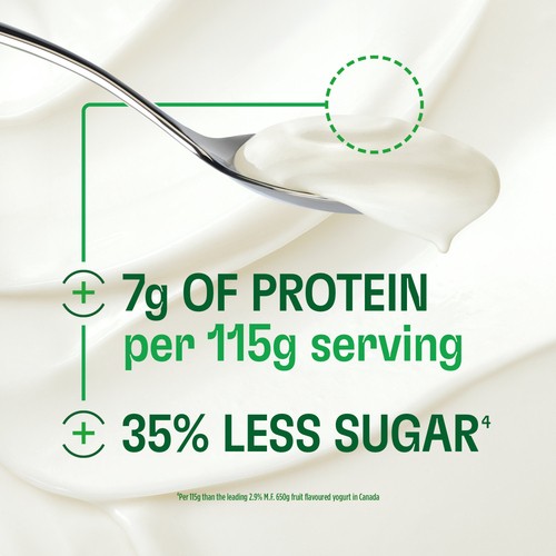 Activia Expert Yogurt Pre & Probiotics Plain 750 g