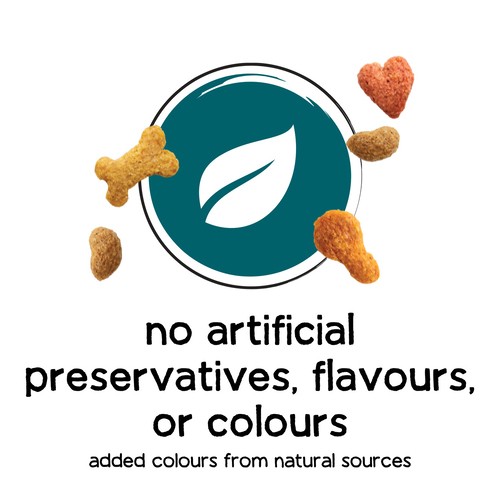 Beneful Dry Dog Food for Small Dogs with Real Chicken 1.6 kg