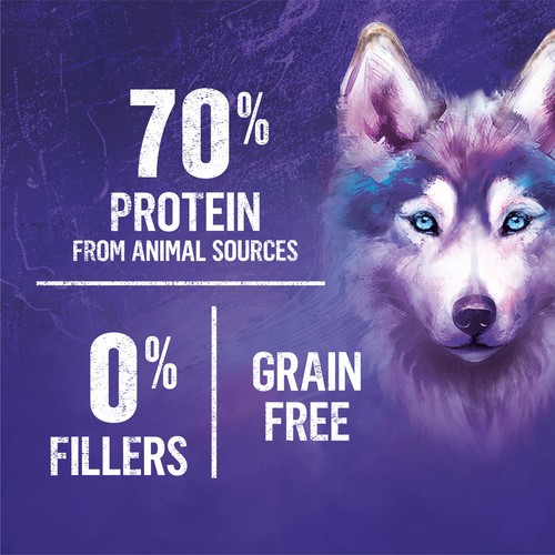 Beyond Dog Food Wild Turkey Grain Free 1.36 KG