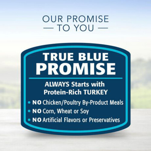 Blue Buffalo Delights Wet Dog Food Roasted Turkey Flavor 99 g 