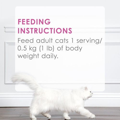 Fancy Feast Petites Wet Cat Food Seared Salmon Entre in Gravy 79.4 g