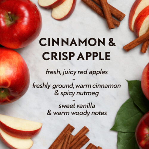 Air Wick  Essential Mist Diffuser Refill Cinnamon & Crisp Apple 20 ml