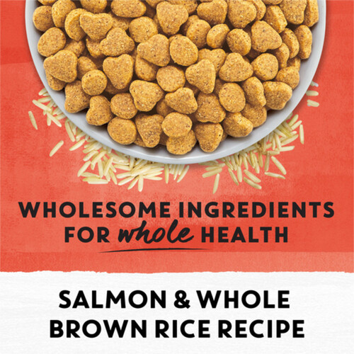 Beyond Simply Dry Cat Food Salmon & Whole Brown Rice Recipe 1.36 kg