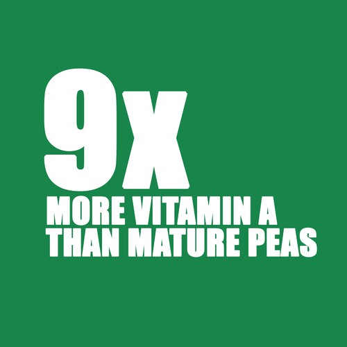 GoodLeaf Hero Greens Sweet Pea Shoots 50 g