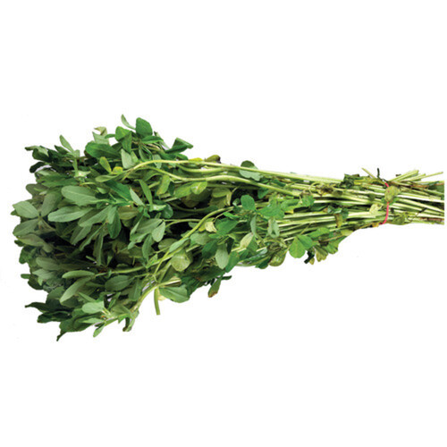 Methi Leaf 1 Bunch