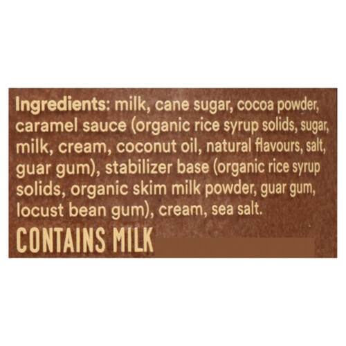 Righteous Gelato Gluten-Free Gelato Dark Chocolate Caramel Sea Salt 562 ml