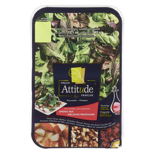 Fresh Attitude Salad Kit Spring Mix 342 g
