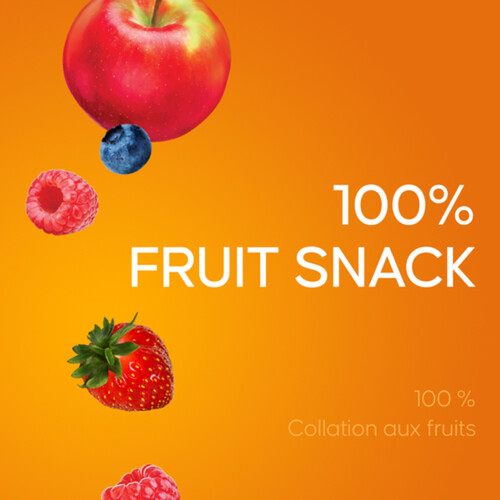 SunRype Fruit to Go 100% Fruit Snack Pack 336 g
