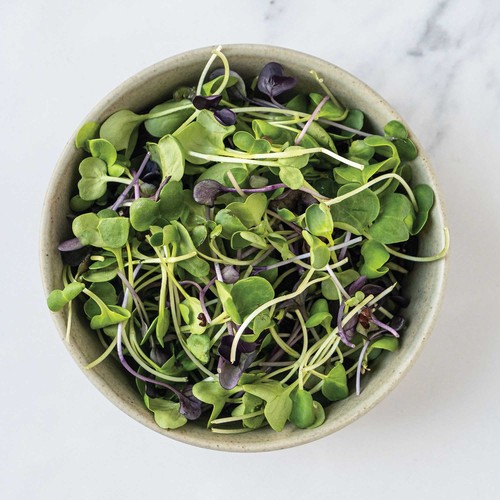 GoodLeaf Micro Radish 50 g