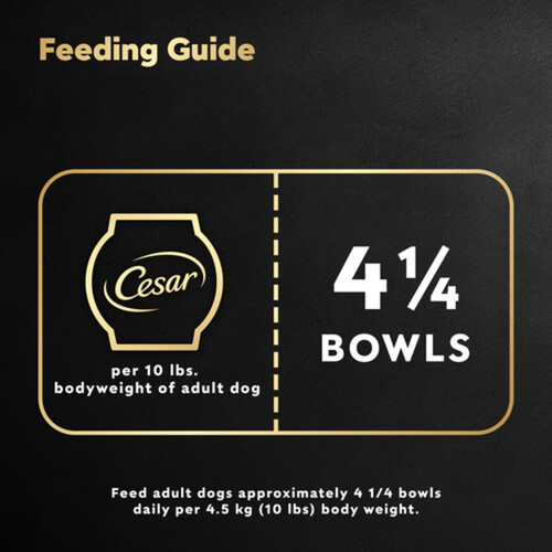 Cesar Wholesome Bowls Adult Wet Dog Food Beef, Chicken, Carrots & Purple Potatoes 85 g
