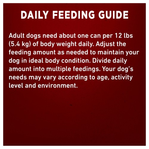 Purina ONE Wet Dog Food True Instinct Classic Ground Chicken & Duck 368 g