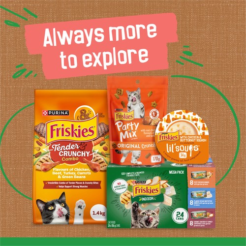 Friskies Wet Cat Food Indoor Chunky Chicken & Turkey Casserole 156 g