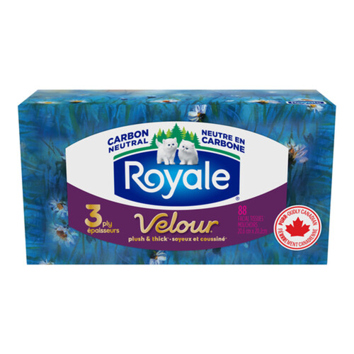 Royale Facial Tissue 3-Ply 1 Box x 88 Sheets