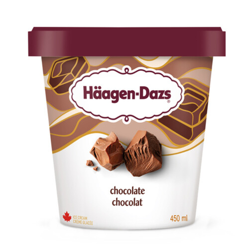 Haagen-Dazs Ice Cream Chocolate 450 ml