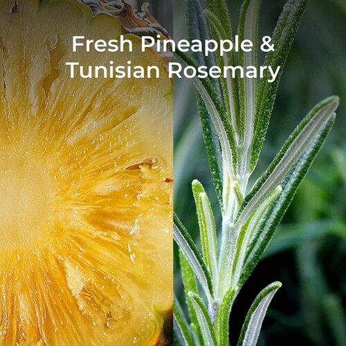 Air Wick Botanical Air Freshener Twin Refill Fresh Pineapple & Tunisian Rosemary 2 x 20 ml