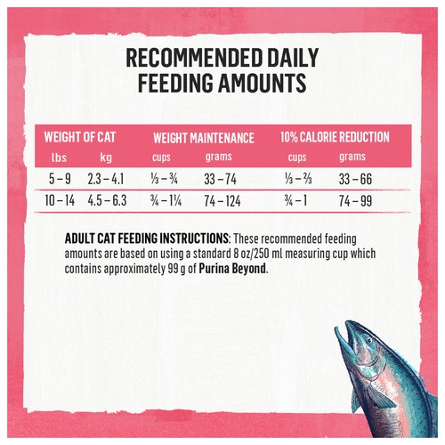 Beyond Grain Free Dry Cat Food Indoor Cat Wild-Caught Salmon & Egg 1.36 kg
